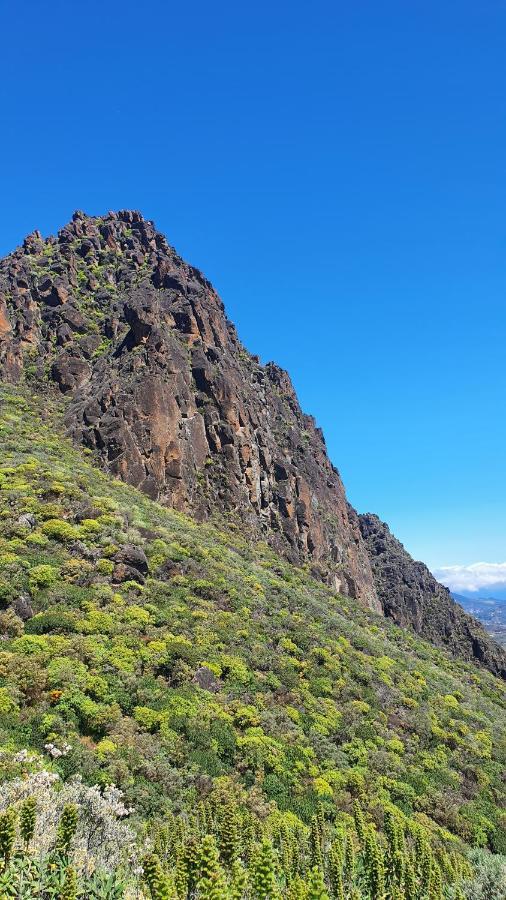 Casa Cueva Paquito Villa Vega de San Mateo Dış mekan fotoğraf