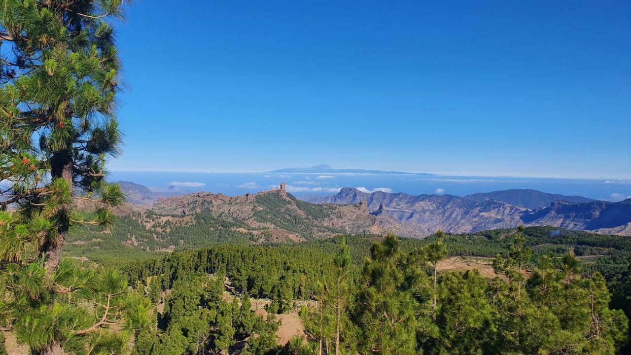 Casa Cueva Paquito Villa Vega de San Mateo Dış mekan fotoğraf