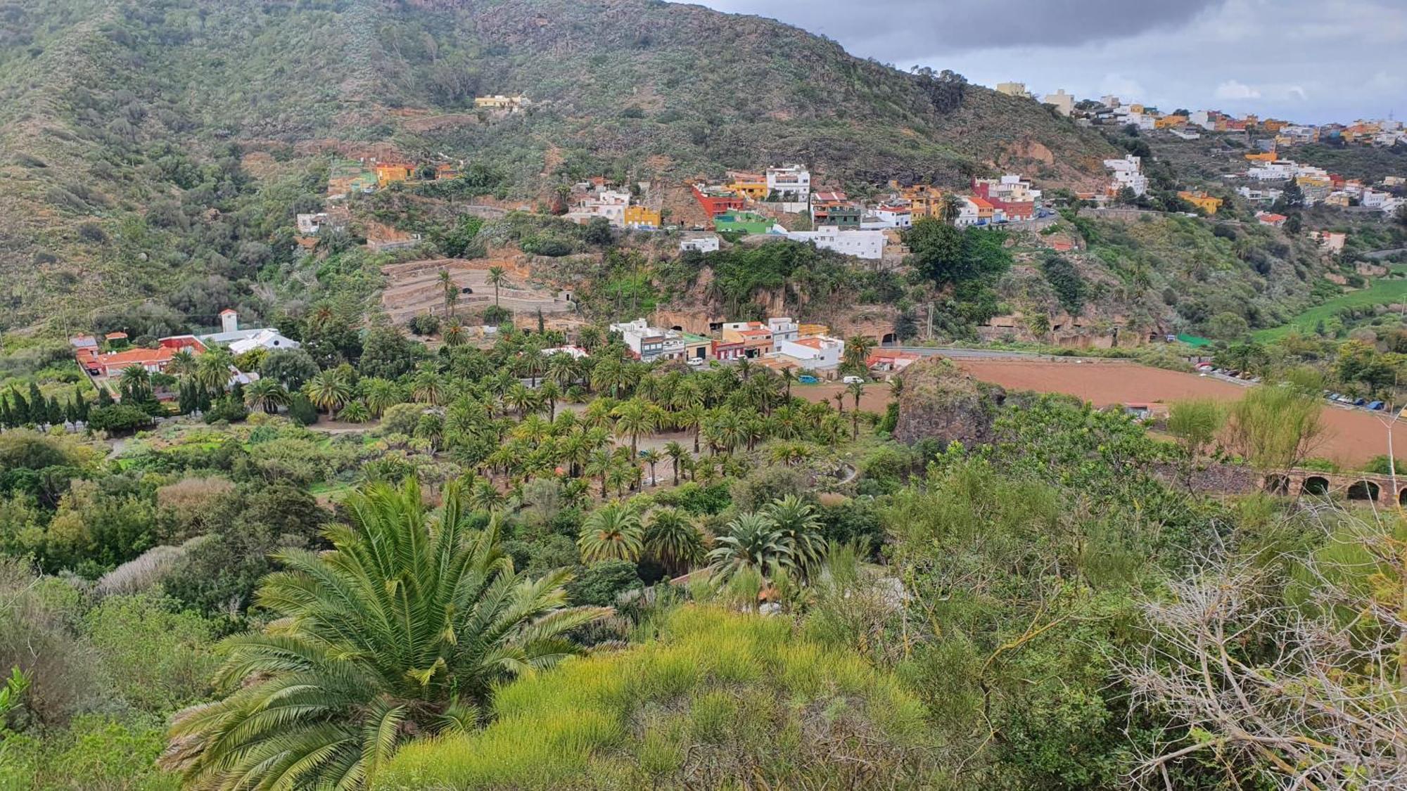 Casa Cueva Paquito Villa Vega de San Mateo Dış mekan fotoğraf