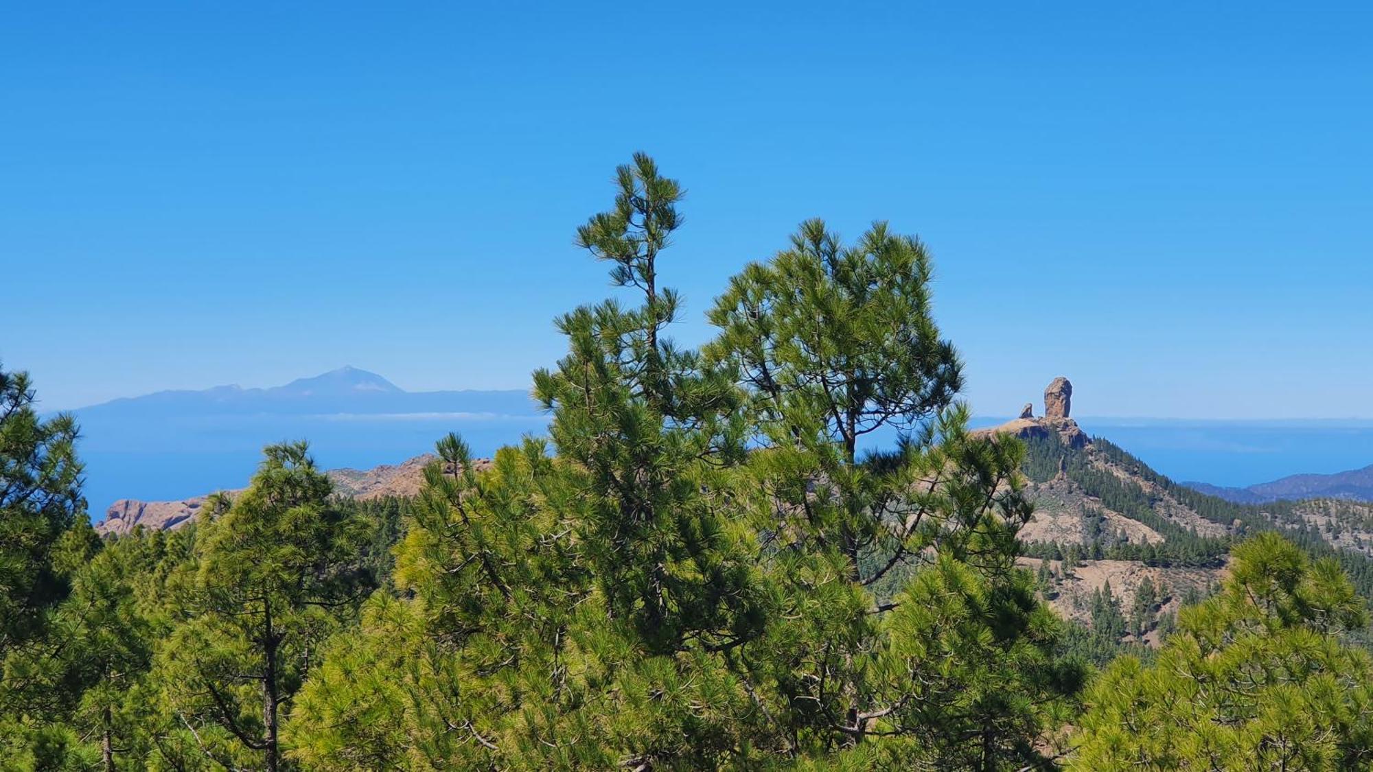 Casa Cueva Paquito Villa Vega de San Mateo Dış mekan fotoğraf