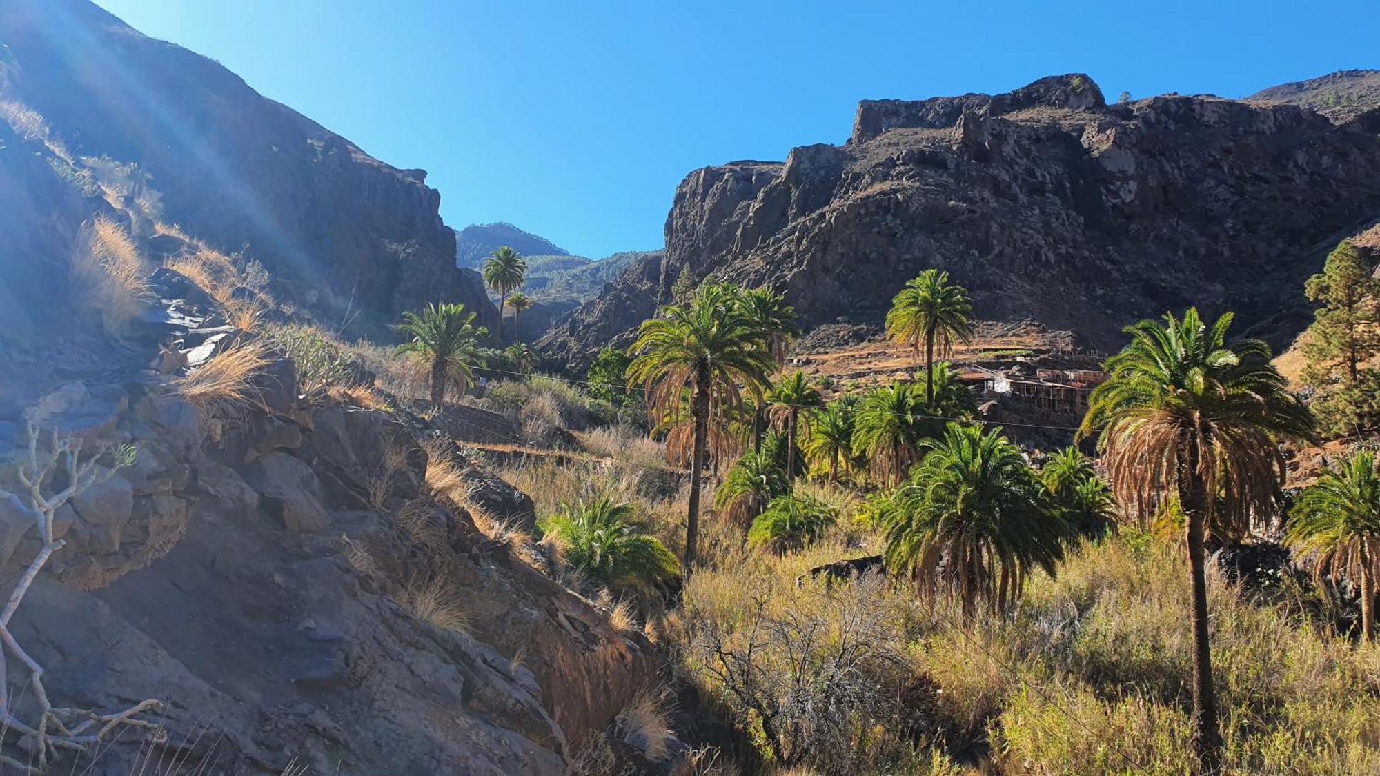 Casa Cueva Paquito Villa Vega de San Mateo Dış mekan fotoğraf