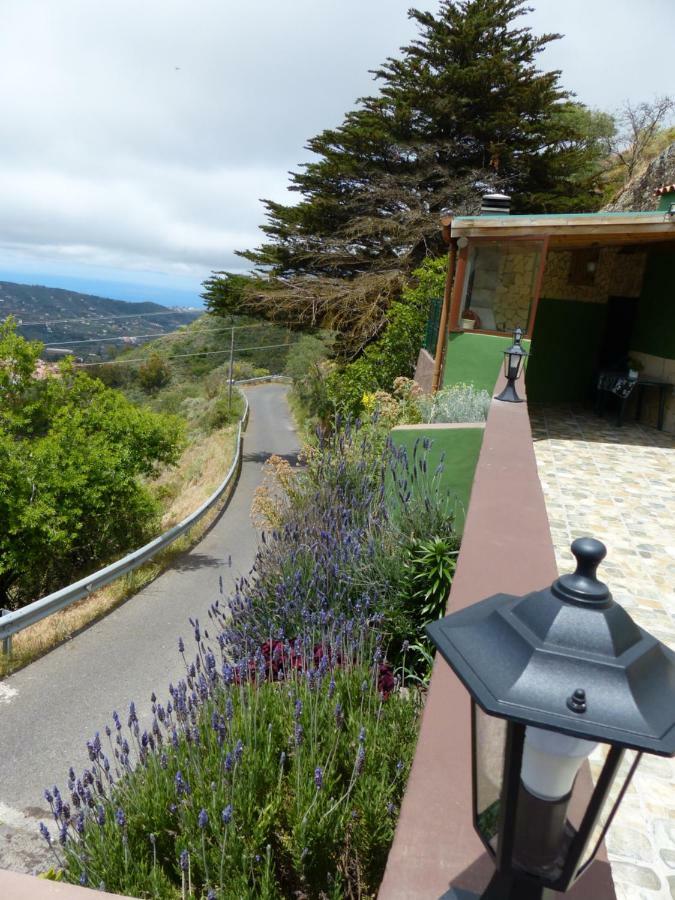 Casa Cueva Paquito Villa Vega de San Mateo Dış mekan fotoğraf